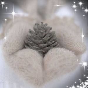 Meet your Posher, Carol